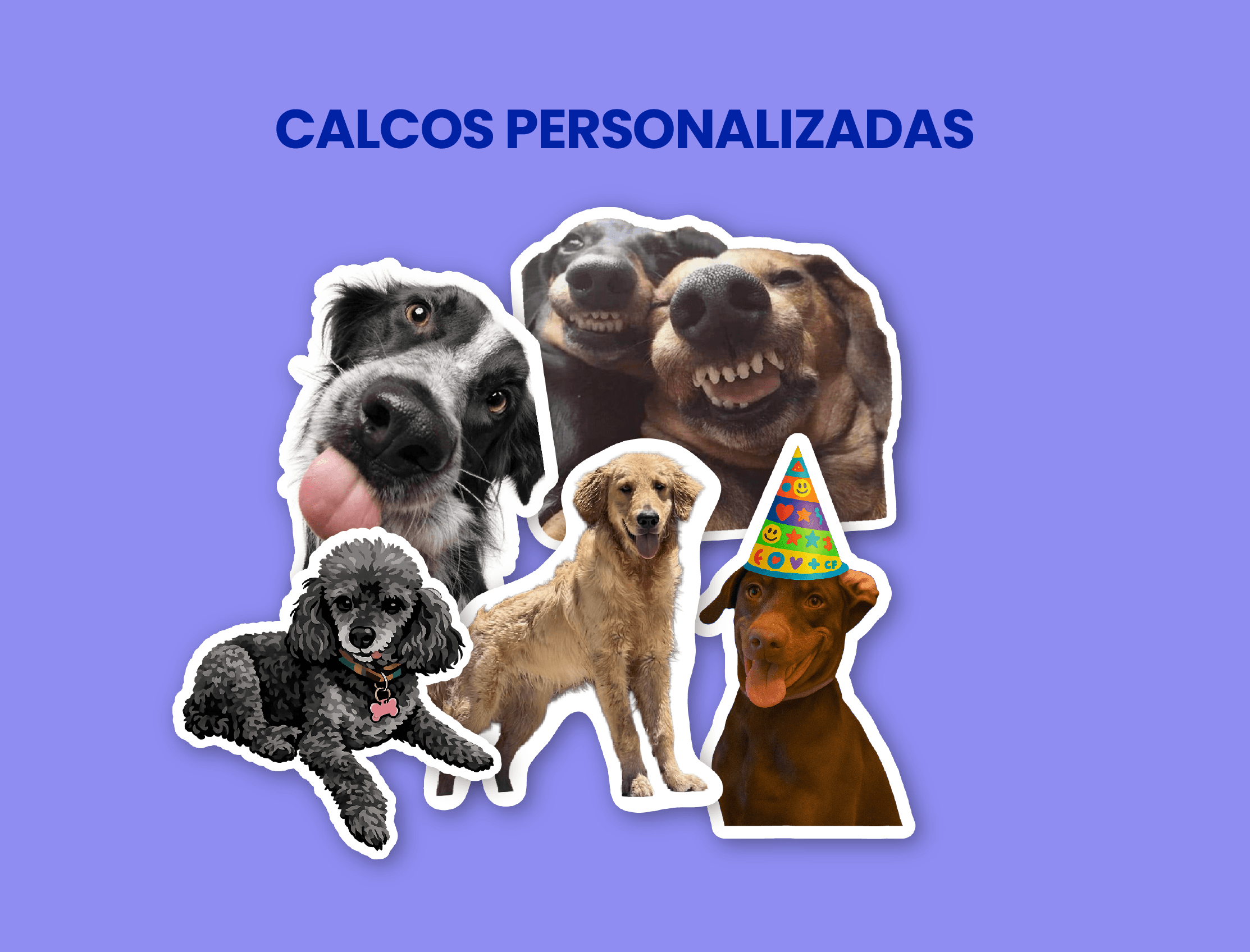 Informacion de personalizados 1